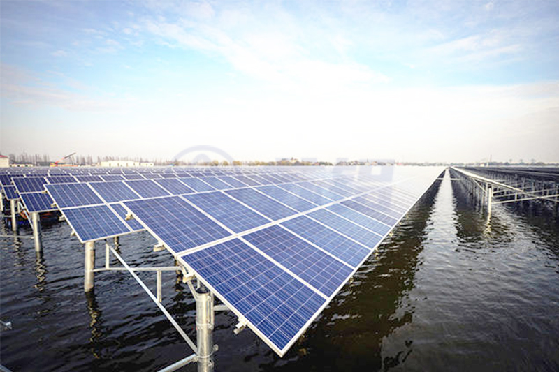 1649796237496915.jpg 未標題-1.jpg